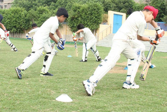 Cricket